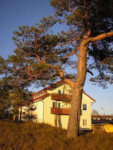 Guest House Osia Šventoji Esterno foto